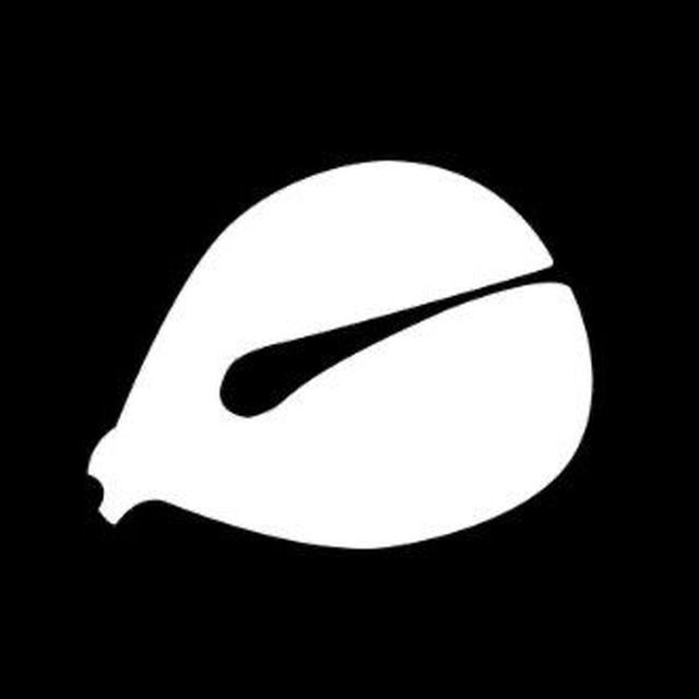 Wooden Fish icon